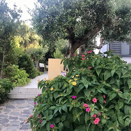 Lena Apartament
